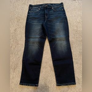 American Eagle Skinny Jeans Size 18 Short